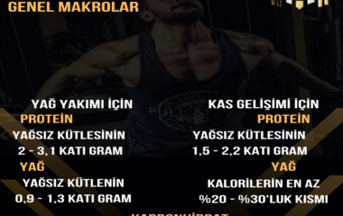 Literatürde Genel Makrolar