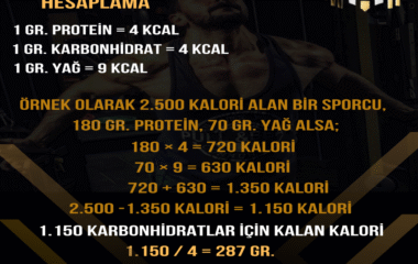 Makro Kalori Hesaplama